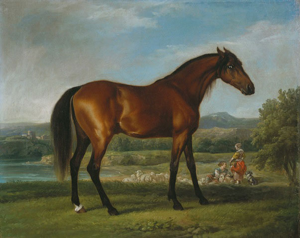 George Stubbs, Hollyhock, 1770 George Stubbs, Hollyhock, 1770